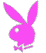 bunny.gif
