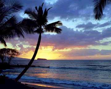 sunset2.jpg