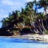tropical.jpg